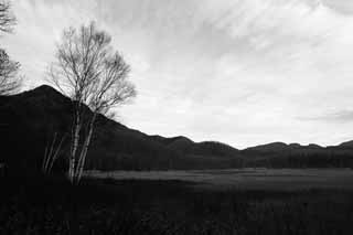 fotografia, materiale, libero il panorama, dipinga, fotografia di scorta,Mattina in Odashirogahara, Nebbia di mattina, Frusta bianca, erboso chiaramente, inumidisca chiaramente