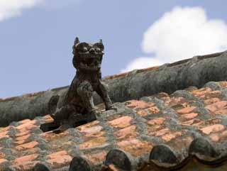 photo,material,free,landscape,picture,stock photo,Creative Commons,Sea Sir to bark, SeSir, good luck charm, Okinawa, roof