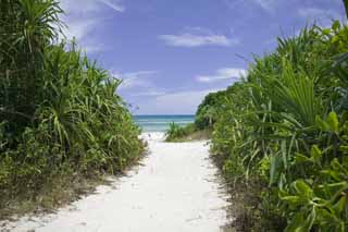 Foto, materiell, befreit, Landschaft, Bild, hat Foto auf Lager,Ein Weg zu einem Strand, Sandstange, Strand, blauer Himmel, 