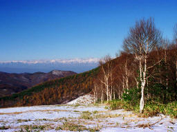 fotografia, materiale, libero il panorama, dipinga, fotografia di scorta,La terra di sci copr con la prima neve, montagna, neve, , 