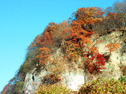 fotografia, materiale, libero il panorama, dipinga, fotografia di scorta,Precipizio in autunno, foglie di autunno, , , 