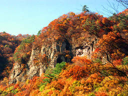 Foto, materiell, befreit, Landschaft, Bild, hat Foto auf Lager,Herbstlaub auf einem Abgrund, Herbst geht, , , 