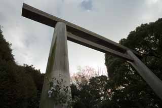 Foto, materiell, befreit, Landschaft, Bild, hat Foto auf Lager,Atsuta-jingu Shrine torii, Schintoistischer Schrein, torii, Das Tor, Religion