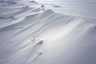 Foto, materieel, vrij, landschap, schilderstuk, bevoorraden foto,Een snowy zwachtelen-wrought knippatroon op de zanden in, Wind-wrought knippatroon op de zanden, Besneeuwd veld, Wind, 