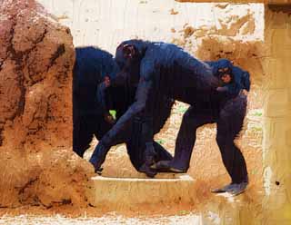 illust, material, livram, paisagem, quadro, pintura, lpis de cor, creiom, puxando,O pai e criana de um chimpanz, chimpanz, Um macaco antropide, macaco, beb