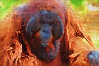 ,,, ,,,   , ,.  

orangutan.  , , orangutan.,    .  ,  .  