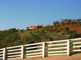 foto,tela,gratis,paisaje,fotografa,idea,Otoo en la granja., Cerca, Cielo azul, , 