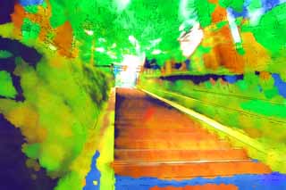 illust, materiell, befreit, Landschaft, Bild, Gemlde, Farbbleistift, Wachsmalstift, Zeichnung,,Eine Steintreppe von Tosho-gu Schrein, steinigen Sie Treppe, Treppe, torii, Zeder