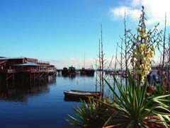 Foto, materiell, befreit, Landschaft, Bild, hat Foto auf Lager,Stiller Nachmittagskai, Meer, Hafen, blauer Himmel, Agave