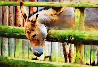 illust, material, livram, paisagem, quadro, pintura, lpis de cor, creiom, puxando,Depresso de asno, Asno, Um asno, Fussock, Don chave