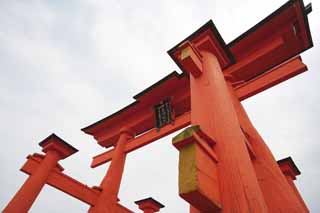 foto,tela,gratis,paisaje,fotografa,idea,Otorii de Itsukushima - Shrine de jinja, La herencia cultural de mundo, Otorii, Santuario sintosta, Soy el rojo de cinnabar