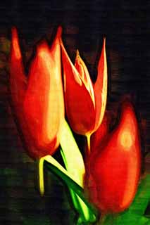 illust, material, livram, paisagem, quadro, pintura, lpis de cor, creiom, puxando,Vero, , tulipa, ptala, Em primavera