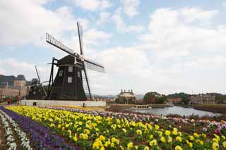 photo, la matire, libre, amnage, dcrivez, photo de la rserve,Un jardin de la fleur et un moulin  vent, nuage, canal, La Hollande, moulin  vent