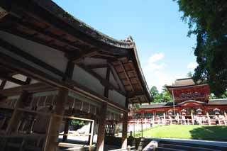 fotografia, material, livra, ajardine, imagine, proveja fotografia,Kasuga Taisha santurio, Xintosmo, Santurio de Xintosmo, Eu sou pintado em vermelho, telhado