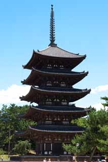 foto,tela,gratis,paisaje,fotografa,idea,Kofuku - ji templo cinco pagoda de Storeyed, Buddhism, Edificio de madera, Cinco pagoda de Storeyed, Herencia de mundo