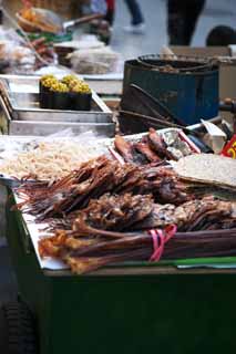 fotografia, materiale, libero il panorama, dipinga, fotografia di scorta,La bancarella del pesce essiccato, seppia, , , Un polpo