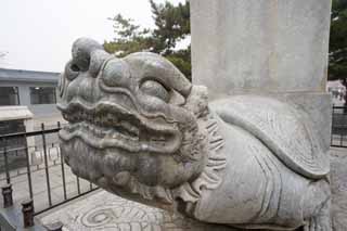 photo,material,free,landscape,picture,stock photo,Creative Commons,Traditional stone of the mausoleum no definite, Stone monument, Royal Tombs, Long, Tortoise