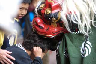 photo,material,free,landscape,picture,stock photo,Creative Commons,Lion dance, New Year, SHISHIMAI, Traditional culture, Dance