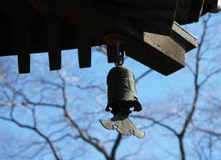 foto,tela,gratis,paisaje,fotografa,idea,Viento Bell en To-ji, Buddhism, , Campana de Temple, 