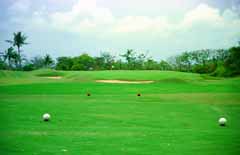 , , , , ,  .,par 3., tee, , , 