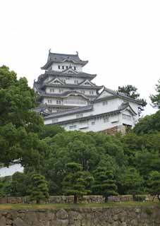 fotografia, materiale, libero il panorama, dipinga, fotografia di scorta,Himeji-jo il Castello, Quattro tesori nazionali Arroccano, La torre di castello, Shigetaka Kuroda, Hideyoshi Hashiba