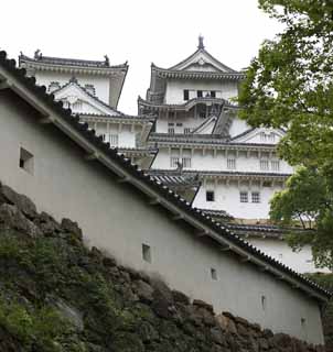 foto,tela,gratis,paisaje,fotografa,idea,Himeji - Castle de jo, Cuatro tesoros nacionales Castle, Sadanori Akamatsu, Shigetaka Kuroda, Hideyoshi Hashiba