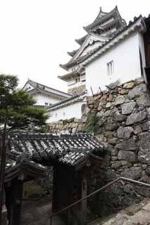 photo,material,free,landscape,picture,stock photo,Creative Commons,Himeji-jo Castle, Four national treasures Castle, Sadanori Akamatsu, Shigetaka Kuroda, Hideyoshi Hashiba