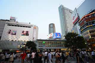 Foto, materieel, vrij, landschap, schilderstuk, bevoorraden foto,De overtocht van Shibuya Station, Benedenstad, Walker, Oversteekplaats, Menigte