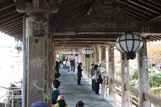 fotografia, materiale, libero il panorama, dipinga, fotografia di scorta,Il su corridoio di Tempio di Hase-dera, corridoio, Gradini, adoratore, Mitera del fiore