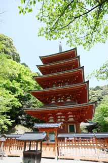 Foto, materieel, vrij, landschap, schilderstuk, bevoorraden foto,Vijf Storeyed Pagoda van Hase-dera Tempel, Ik word in rood geschilderd, Van hout gebouw, Chaitya, Mitera van de bloem