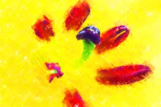 illust, materiell, befreit, Landschaft, Bild, Gemlde, Farbbleistift, Wachsmalstift, Zeichnung,,Casablanca, Lilie, , , Pollen
