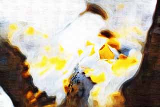 Illust, materieel, vrij, landschap, schilderstuk, schilderstuk, kleuren potlood, crayon, werkje,Het is een ginkgo in de sneeuw, Kleurig verloven, Ginkgo, Geel, De sneeuw
