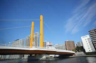 Foto, materieel, vrij, landschap, schilderstuk, bevoorraden foto,Nieuwe Ohashi, Brug, Sumida Rivier stamen, Een ijzerene brug, Verkeer