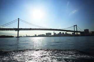 photo, la matire, libre, amnage, dcrivez, photo de la rserve,Pont de l'arc-en-ciel, pont, cours de la promenade, Un oiseau de l'hutre, le bord de la mer a dvelopp le centre de ville rcemment