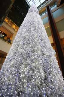 ,,, ,,,  .,   ., X'mas., .,  .