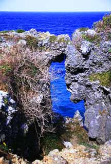 fotografia, materiale, libero il panorama, dipinga, fotografia di scorta,Oceano blu oltre la selvatichezza, blu, , , 