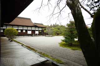 fotografia, materiale, libero il panorama, dipinga, fotografia di scorta,Tempio di Ninna-ji recinto anteriore del Hall per cerimonie statali, giardino, Sabbia, La casa del vecchio aristocratico Palazzo Imperiale, panorama asciutto giardino giapponese