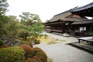 Foto, materieel, vrij, landschap, schilderstuk, bevoorraden foto,Ninna-ji Tempel noord tuin, Vijf Storeyed Pagoda, Ik ben Japanse-trant, Waterplas, Trant van Japanse tuin met een waterplas in het centrum tuin