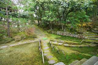 , , , , ,  .,Ninna-ji   Akira, ,  stairway, , 