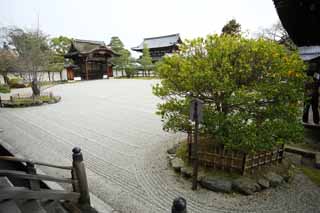 Foto, materieel, vrij, landschap, schilderstuk, bevoorraden foto,Ninna-ji Tempel voortuin van de Hal voor de toestand plechtigheden, Tuin, Zand, Poort voor Imperiale gezanten, Maak landschap Japanse tuin droog