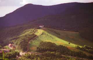 fotografia, materiale, libero il panorama, dipinga, fotografia di scorta,Passi l'estate in un altopiano, altopiano, legno, , 