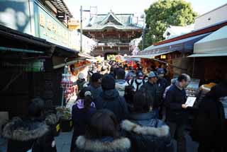 , , , , ,  .,  Shibamata Taishaku- ,  ,     Shinto shrine, worshiper,     