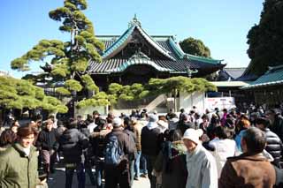 photo,material,free,landscape,picture,stock photo,Creative Commons,Shibamata Taishaku-ten Temple, Case mother appearance of a house tile-roofing, New Year's visit to a Shinto shrine, worshiper, money offering