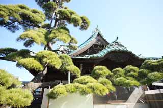 photo,material,free,landscape,picture,stock photo,Creative Commons,Shibamata Taishaku-ten Temple, Case mother appearance of a house tile-roofing, New Year's visit to a Shinto shrine, worshiper, money offering