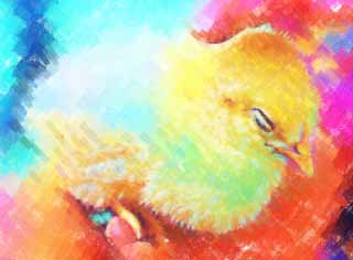 illust,tela,gratis,paisaje,fotografa,idea,pintura,Lpiz de color,dibujo,Lo moldeo, Pollito, Gallo, , Soy joven