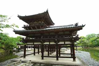 Foto, materiell, befreit, Landschaft, Bild, hat Foto auf Lager,Byodo-in Tempel chinesischer Phnixtempel, Welterbe, Jodo-Glaube, Pessimismus wegen des Glaubens am dritten und letzter Phase von Buddhismus, Ein Amitabha sitzendes Bild