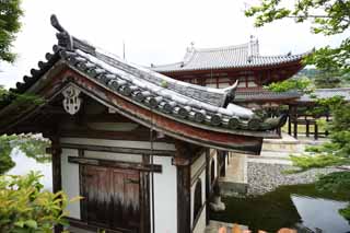 ,,, ,,, Byodo-in     ,  ,  Jodo.,          ., Amitabha  