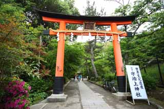 ,,, ,,, torii  Uji  ., torii., .,  .,   .