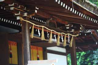 foto,tela,gratis,paisaje,fotografa,idea,Es un santuario santuario primero sintosta en Uji, Apndice de papel, Guirnalda de paja sintosta, Persiana de bamb, Shinto