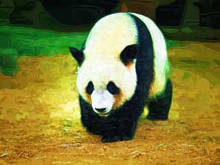 illust, matire, libre, paysage, image, le tableau, crayon de la couleur, colorie, en tirant,Panda gant, panda, , Je suis joli, promenade